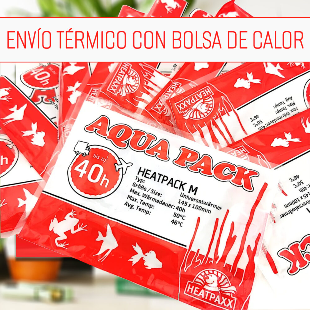 Pack Triple Hoya - Imagen 6