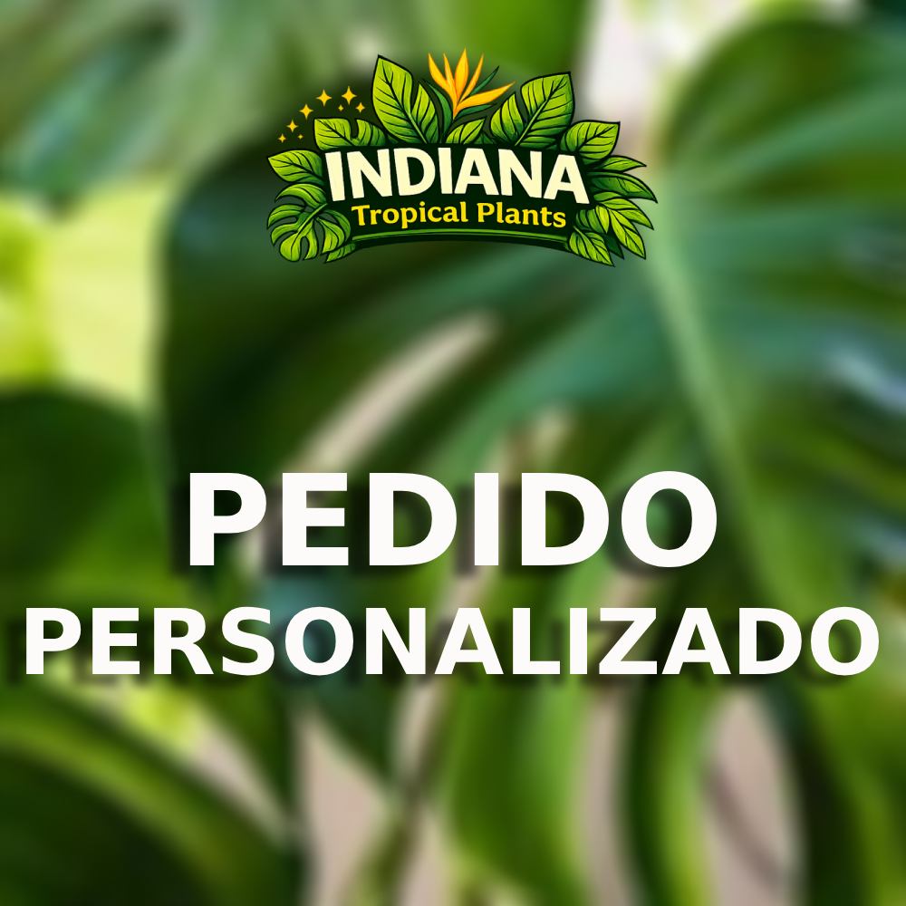 Pedido personalizado