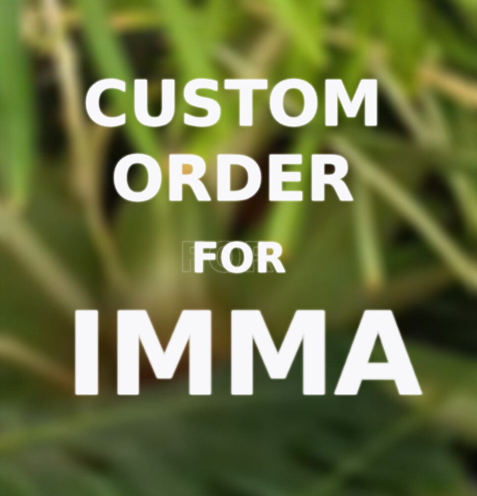 Pedido Personalizado para Imma