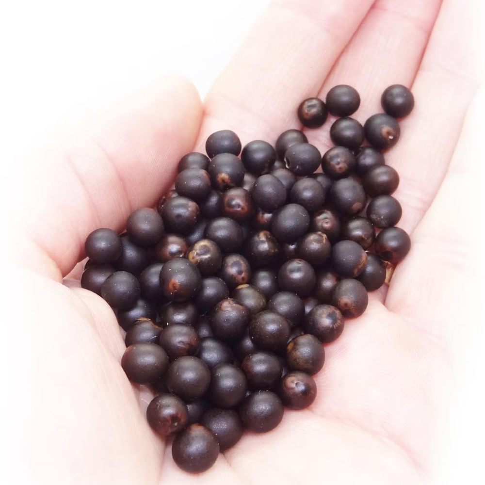 Pedido Personalizado de Semillas